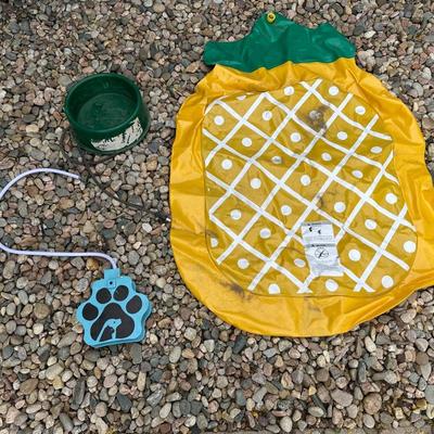 HEATED DOG POOL, SPRINKLER TOY AND FLOATING PINEAPPLE FOR YOUR PET