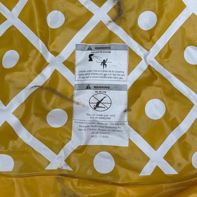 HEATED DOG POOL, SPRINKLER TOY AND FLOATING PINEAPPLE FOR YOUR PET