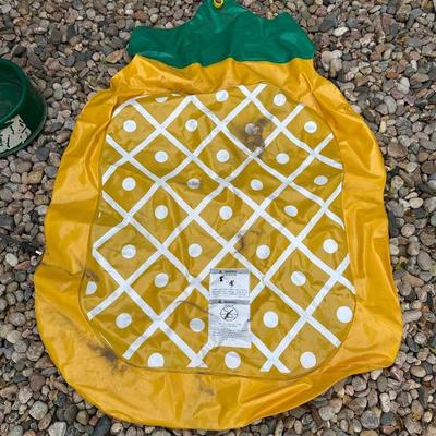 HEATED DOG POOL, SPRINKLER TOY AND FLOATING PINEAPPLE FOR YOUR PET