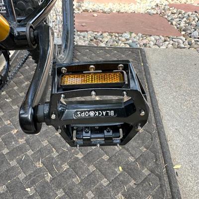 RALEIGH MT200 ALUMINUM MOUNTAIN BIKE