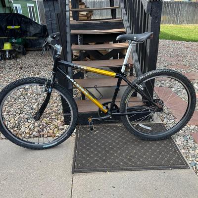 RALEIGH MT200 ALUMINUM MOUNTAIN BIKE