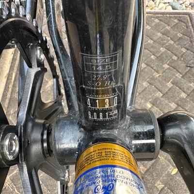 RALEIGH MT200 ALUMINUM MOUNTAIN BIKE