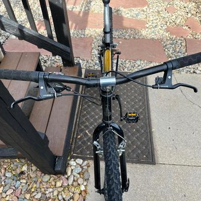 RALEIGH MT200 ALUMINUM MOUNTAIN BIKE