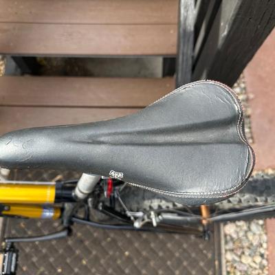 RALEIGH MT200 ALUMINUM MOUNTAIN BIKE