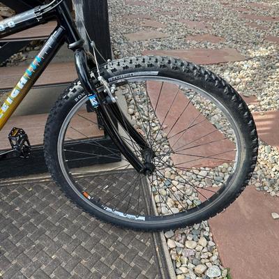 RALEIGH MT200 ALUMINUM MOUNTAIN BIKE