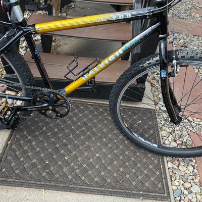 RALEIGH MT200 ALUMINUM MOUNTAIN BIKE