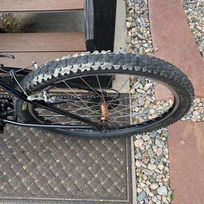 RALEIGH MT200 ALUMINUM MOUNTAIN BIKE