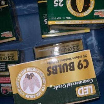 Outdoor Holiday Lighting – 6 Boxes of LED C9 Bulbs (25 Count Each)