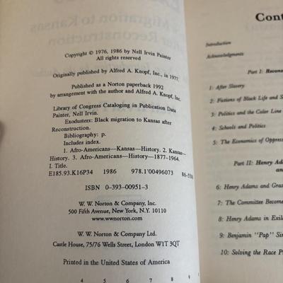 The Black Frontiersman and More