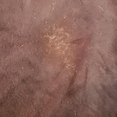 Silver Gobblets and Monogrammed Cups (LR-KD)