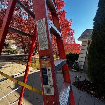 8’ and 6’ Werner Fiberglass Ladders