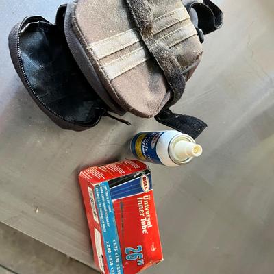 Electra Townie 21 Speed Bike (BD-RG)