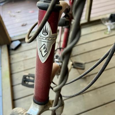 Electra Townie 21 Speed Bike (BD-RG)