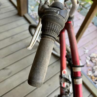 Electra Townie 21 Speed Bike (BD-RG)