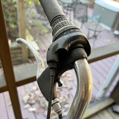 Electra Townie 21 Speed Bike (BD-RG)