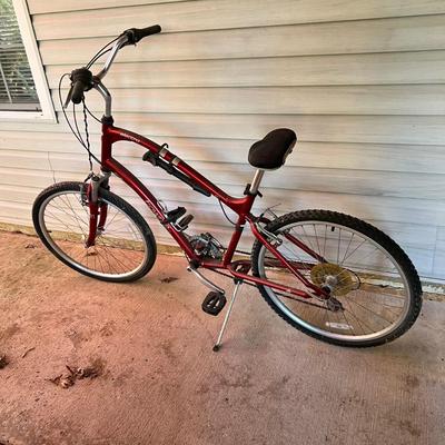 Electra Townie 21 Speed Bike (BD-RG)