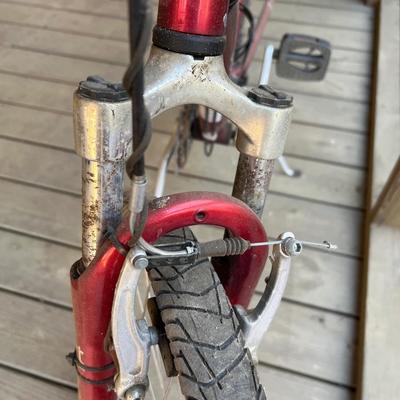 Electra Townie 21 Speed Bike (BD-RG)