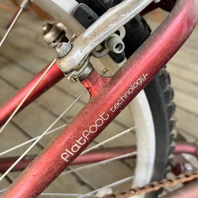 Electra Townie 21 Speed Bike (BD-RG)