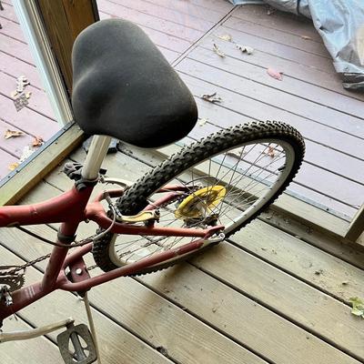 Electra Townie 21 Speed Bike (BD-RG)