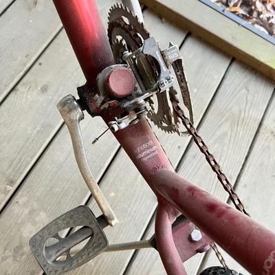 Electra Townie 21 Speed Bike (BD-RG)