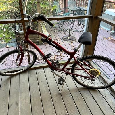 Electra Townie 21 Speed Bike (BD-RG)