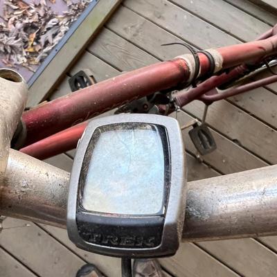 Electra Townie 21 Speed Bike (BD-RG)