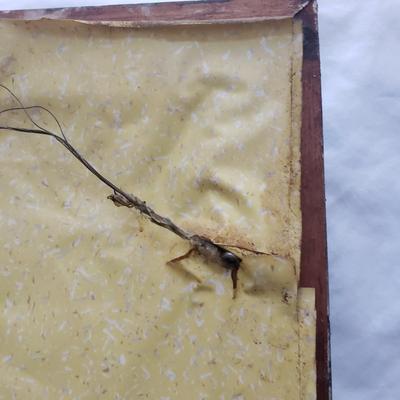 Mixed Media Glass Woman (DR-KD)