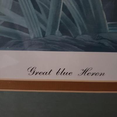 "Great Blue Heron" Print by J.J. Audubon (DR-KD)