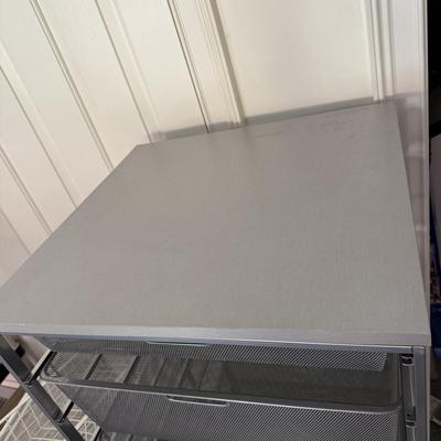 Elfa and NSF Silver Storage Solutions