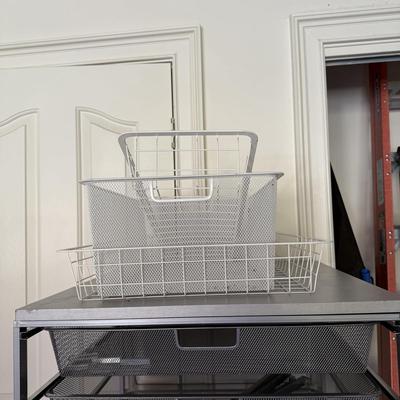 Elfa and NSF Silver Storage Solutions