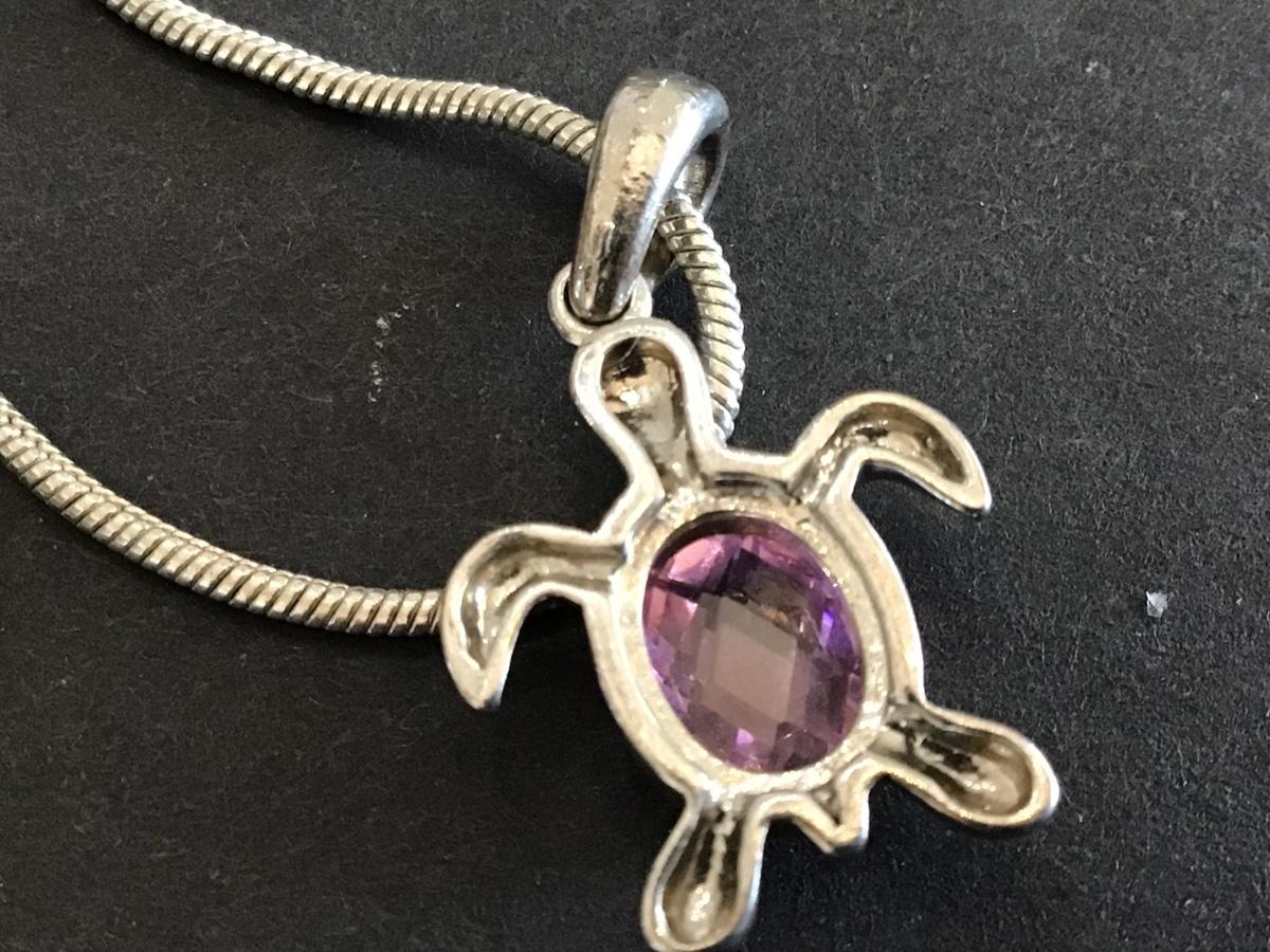 Non Magnetic Turtle Silver Pendant and Chain