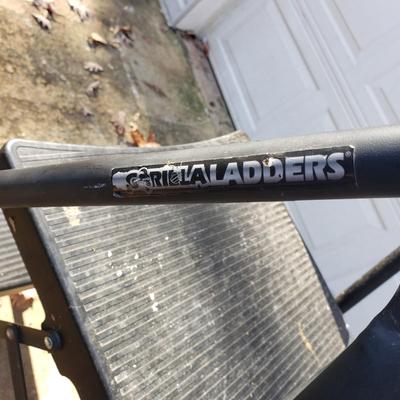 Gorilla and Cosco Step Ladders (G-KD)