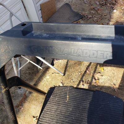 Gorilla and Cosco Step Ladders (G-KD)