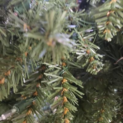 Christmas in November! (G-KD)