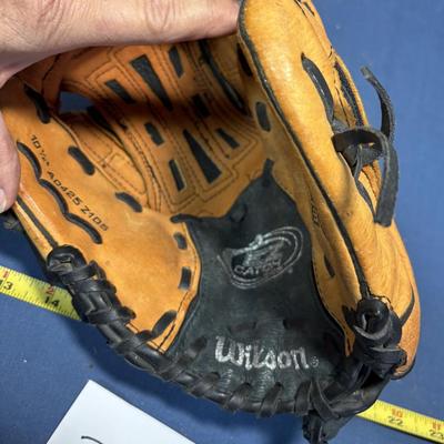 Wilson Ball Glove