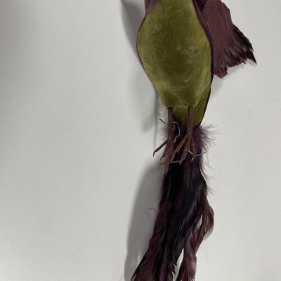 Box of 10 crafting birds