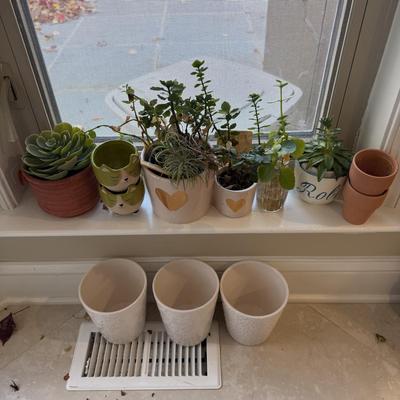 LOT 567K: Collection of Small Faux & Real Plants & Planters