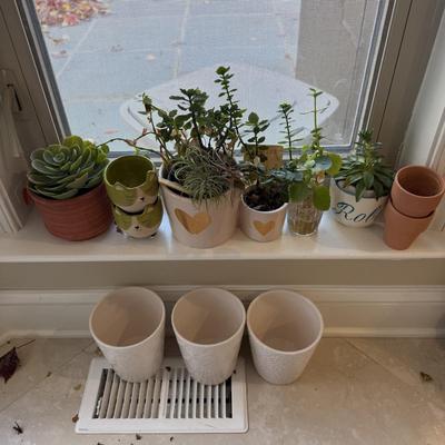 LOT 567K: Collection of Small Faux & Real Plants & Planters