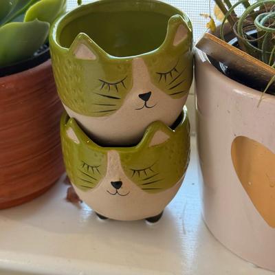 LOT 567K: Collection of Small Faux & Real Plants & Planters