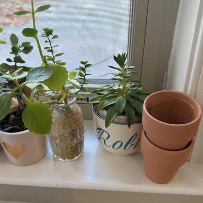 LOT 567K: Collection of Small Faux & Real Plants & Planters