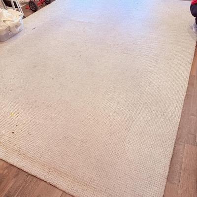 Lot 12: 10 x 14 Wool Rug