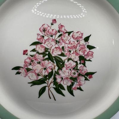 Railroad - Pennsylvania Railroad PRR Mountain Laurel Dinner Plate by Shenango China