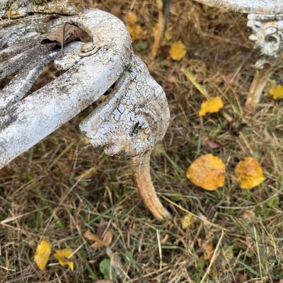 Sale Photo Thumbnail #477