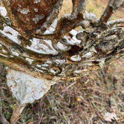 Sale Photo Thumbnail #479