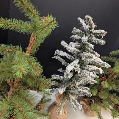 Burlap Base Table Top Pine Trees Approx 17" Tall #3