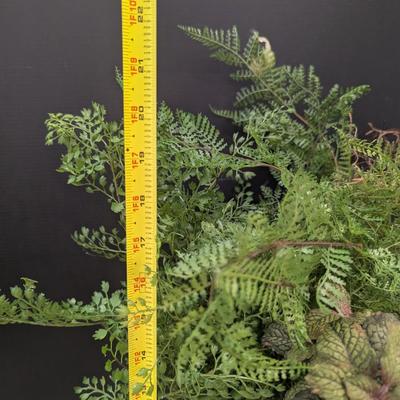 Centerpiece Decorations