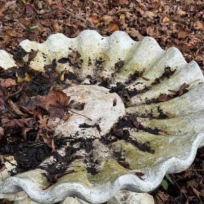 Sale Photo Thumbnail #539