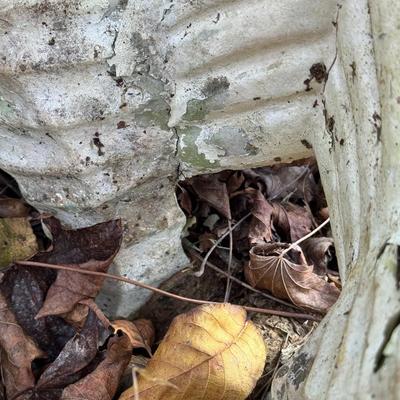 Sale Photo Thumbnail #541