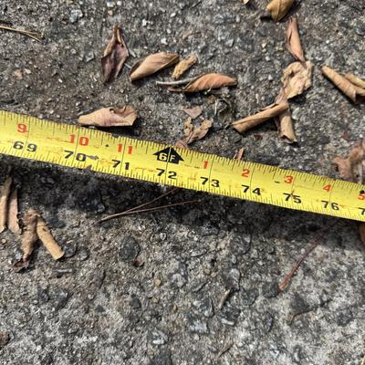 Sale Photo Thumbnail #552