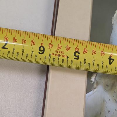 Signed By Ron & Suzette Wright Bird Images 7 3/4" x 5 3/4"